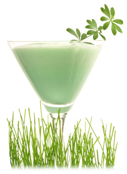 Grasshopper Cocktail