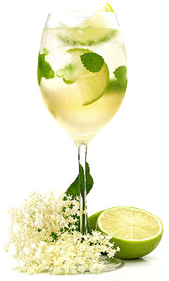 Hugo Cocktail