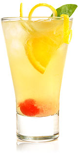 Scotch Sour Cocktail
