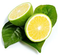 Reife Orange mit grüner Schale