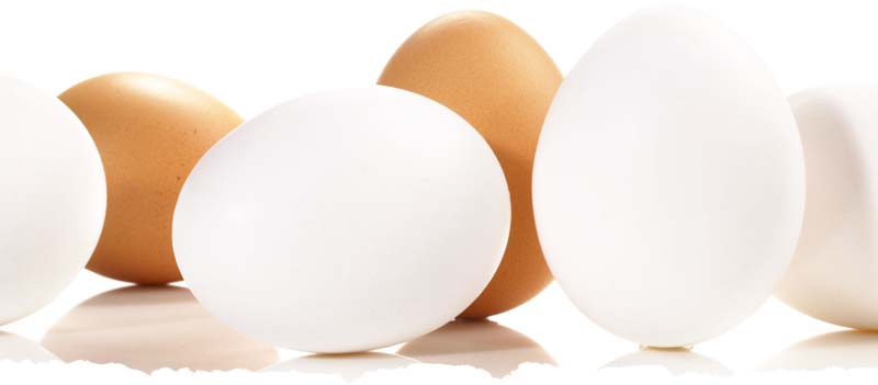 Eier - Eierlikör