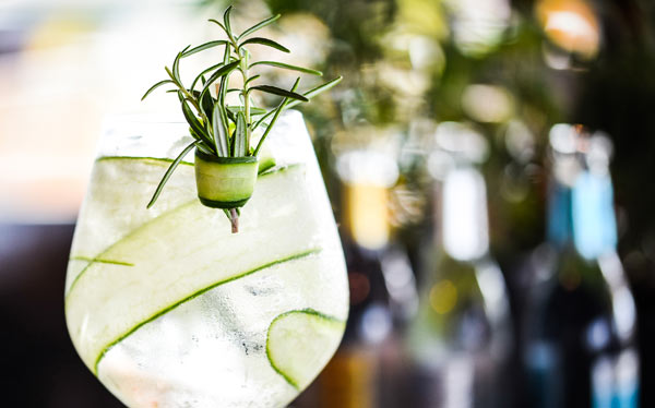 CocktaiGin Fizz mit Rosmarin l