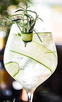 Gin Fizz Cocktail